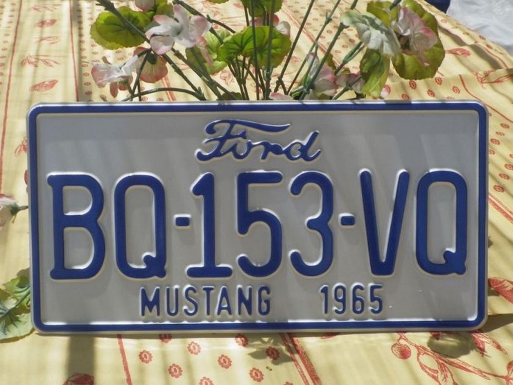 Plaque Immat Stang .jpg