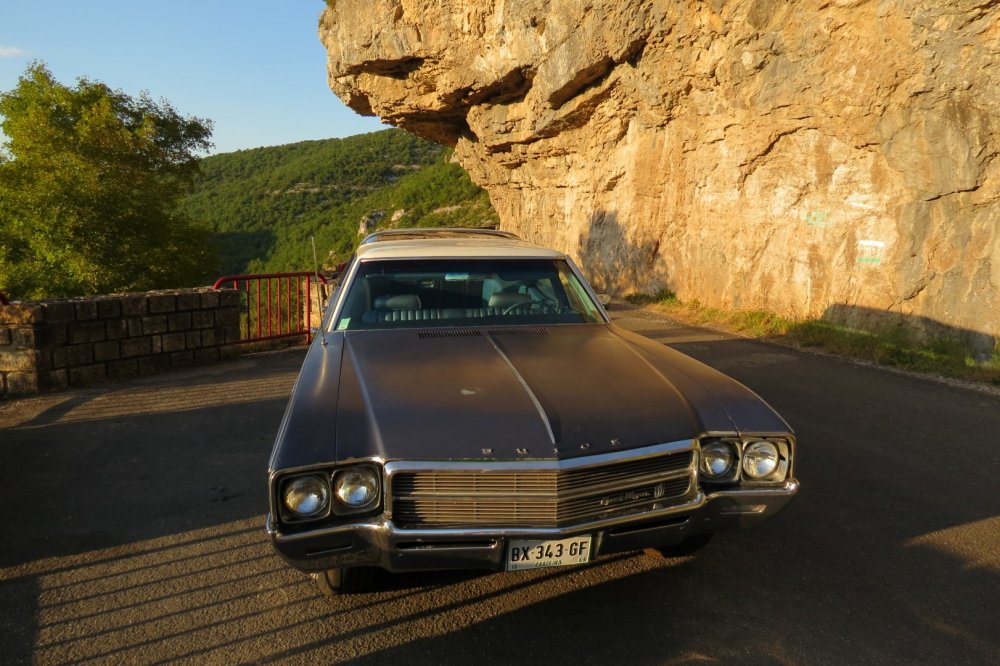 IMG_0054 (Large).JPG