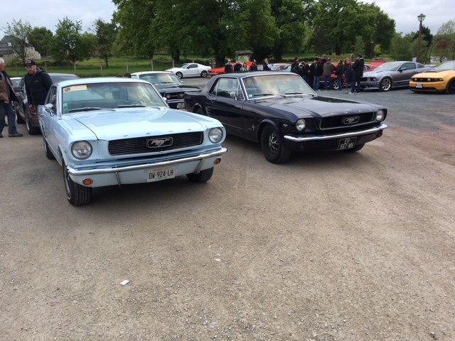 Contacteur d'éclairage à l'ouverture de porte, Mustang 1965 à 1967